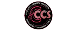 Logo-CSS